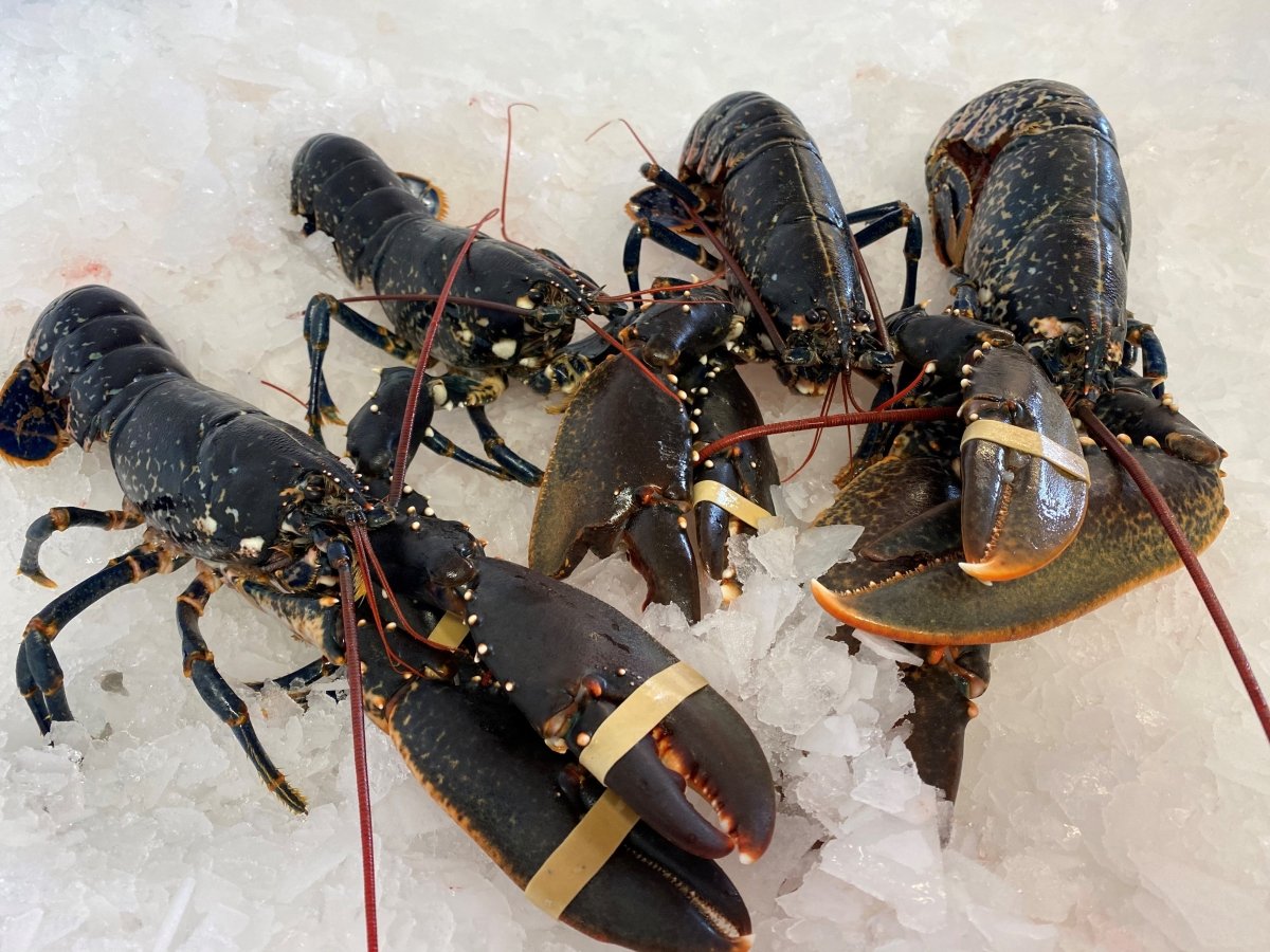 Lobsters
